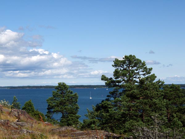 aland022.jpg (73167 bytes)