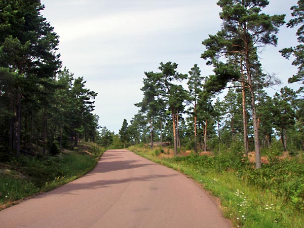 aland058.jpg (99536 bytes)