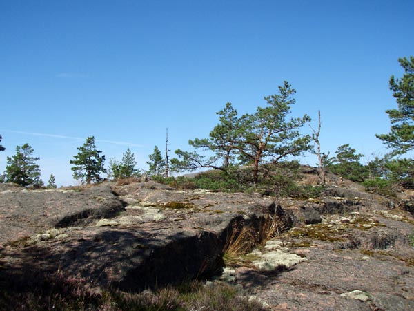 aland087.jpg (88335 bytes)