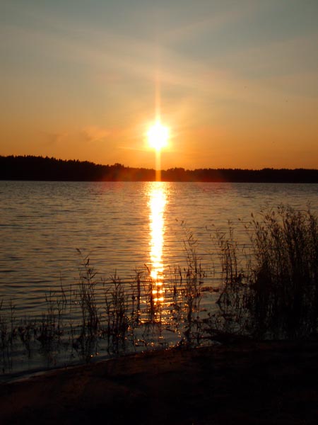 aland102.jpg (56167 bytes)