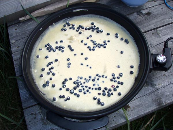 aland112.jpg (86579 bytes)