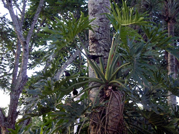 br0026.jpg (116778 bytes)
