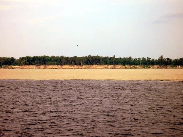 br0213.jpg (67632 bytes)