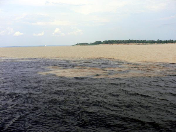 br0215.jpg (61838 bytes)