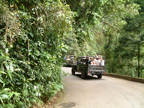 br0527.jpg (125322 bytes)