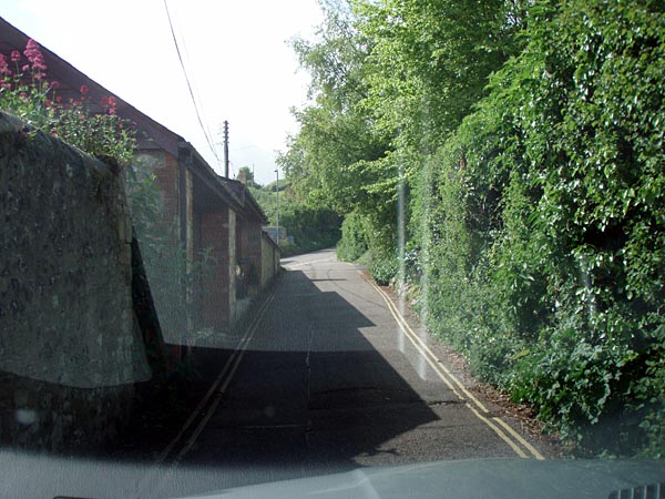 cw016.jpg (96996 bytes)