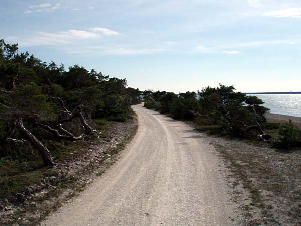 gotland22b.jpg (61287 bytes)