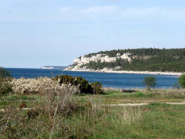 gotland27b.jpg (66583 bytes)