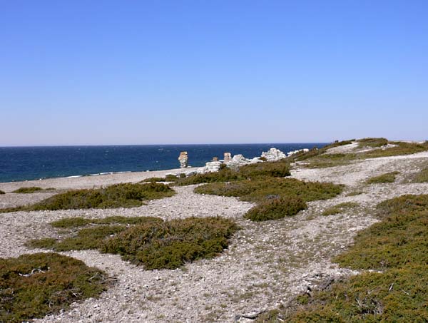 gotland55.jpg (69175 bytes)