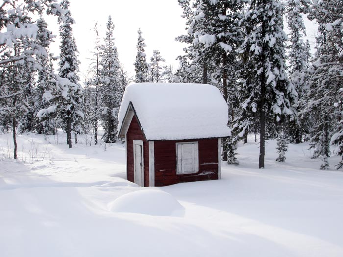 lappland201015.jpg (116272 bytes)
