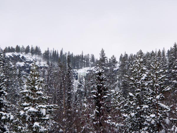 lapplandvinter2009184.jpg (103750 bytes)