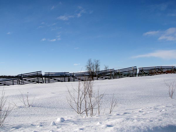 lapplandvinter2009300.jpg (61282 bytes)