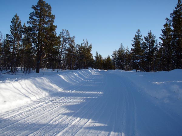 lapplandvinter2009301.jpg (76984 bytes)