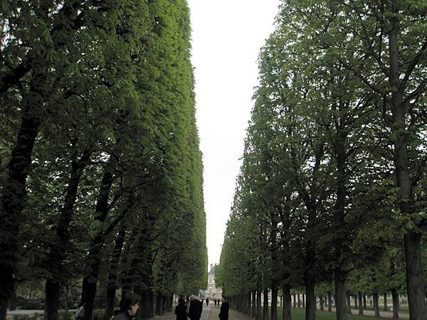 p00129.jpg (108030 bytes)
